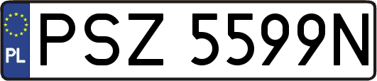 PSZ5599N