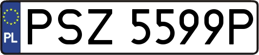 PSZ5599P
