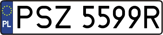 PSZ5599R
