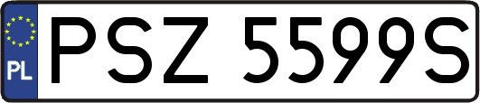 PSZ5599S