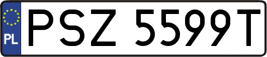 PSZ5599T