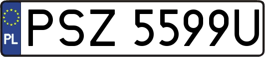 PSZ5599U