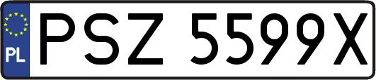 PSZ5599X