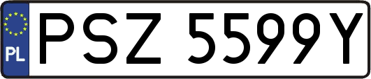 PSZ5599Y