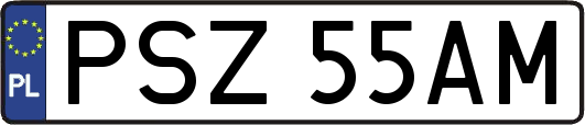 PSZ55AM