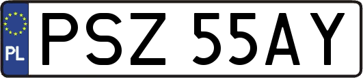PSZ55AY