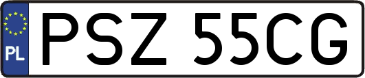 PSZ55CG