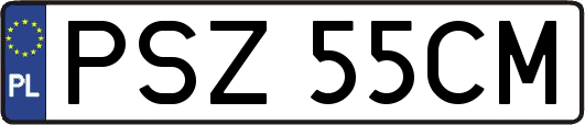 PSZ55CM