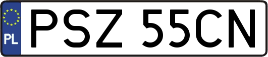 PSZ55CN