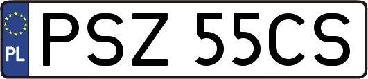 PSZ55CS