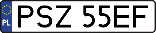 PSZ55EF