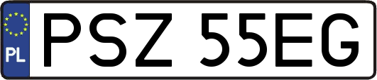 PSZ55EG