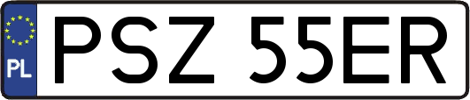 PSZ55ER
