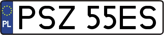 PSZ55ES