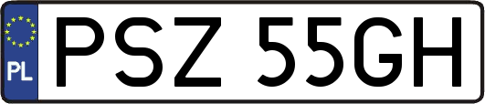 PSZ55GH