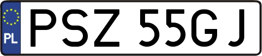 PSZ55GJ