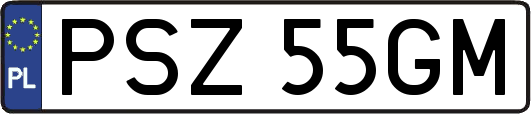 PSZ55GM