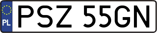 PSZ55GN