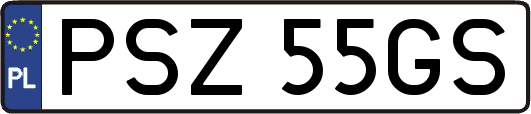 PSZ55GS
