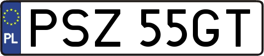 PSZ55GT
