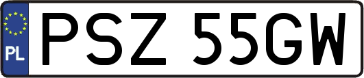 PSZ55GW