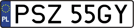 PSZ55GY