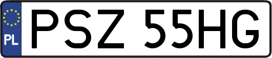 PSZ55HG