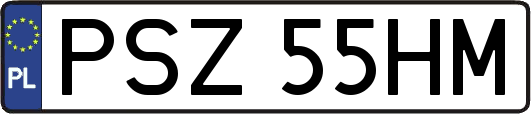PSZ55HM