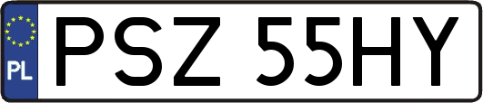 PSZ55HY