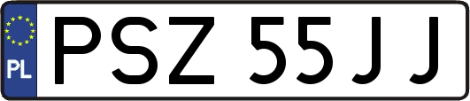 PSZ55JJ