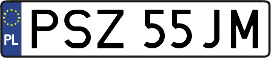 PSZ55JM