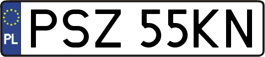 PSZ55KN