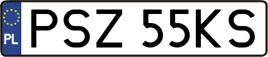 PSZ55KS
