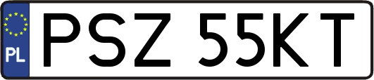 PSZ55KT