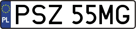 PSZ55MG