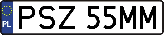 PSZ55MM