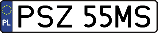 PSZ55MS