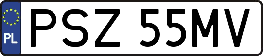 PSZ55MV