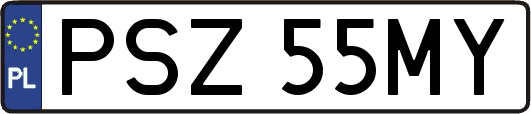 PSZ55MY