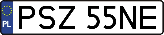 PSZ55NE