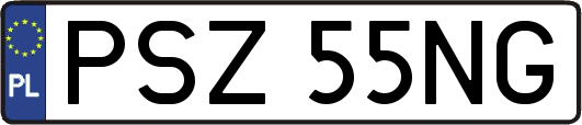PSZ55NG
