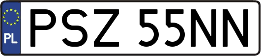 PSZ55NN