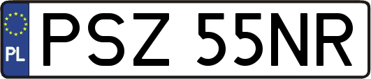 PSZ55NR
