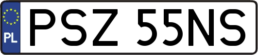 PSZ55NS