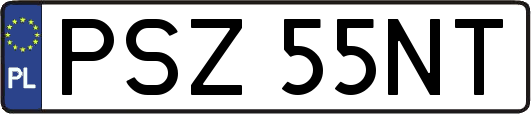 PSZ55NT