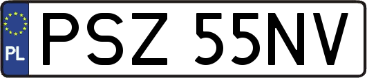 PSZ55NV