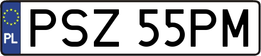 PSZ55PM