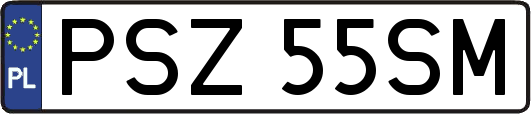 PSZ55SM