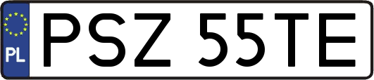PSZ55TE