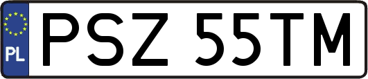 PSZ55TM